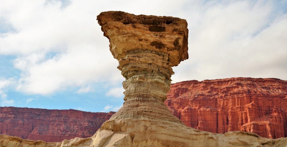 Webp.net resizeimage 17 1170x600